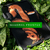 Banner de Ocelo Ecostudio