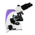 Microscópio Trinocular Laboratório Ampliação 1600X Pesquisas Científicas Investigações Mlt-300 Portátil Instrutherm na internet