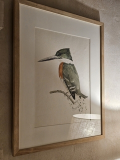 acuarela pájaro verde 90x77 cm.