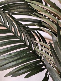 ROBELLINI PALM - comprar online