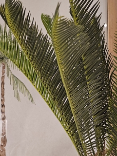 PALM - comprar online