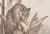 Mural Feline Reverie en internet