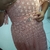 Vestido Tule POA Gola Boneca. COLEÇÃO RENOVE - comprar online