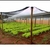 Tela sombrite preta 50% 3×8 metros - comprar online