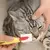 Escova de silicone para gatos macios e cães, escova para limpeza dos olhos, rem - loja online