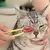 Escova de silicone para gatos macios e cães, escova para limpeza dos olhos, rem na internet