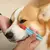 Escova de silicone para gatos macios e cães, escova para limpeza dos olhos, rem - comprar online