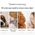 Cat Brush Pet Comb Self Cleaning Slicker Brush Remove Hair Grooming Brush Pet Dematting Comb Beauty Slicker Dog Comb Cepillo - bagatela