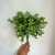 Arranjo Artificial Buxus - comprar online