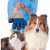 Luva Tira Pelos Pet Removedor Rasqueadeira Profissional Azul