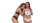 Imagem do banner rotativo Uniqua