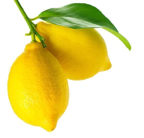 Marca 4 de LE PANIER DECOR