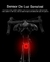 Luz traseira para bicicleta X-Tiger IPx6 à prova d'água LED na internet