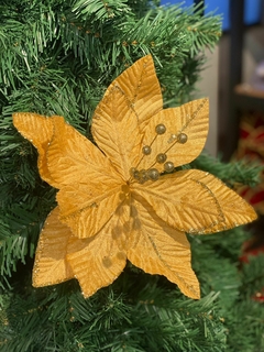 BICO DE PAPAGAIO AVELUDADO ( DOURADO)