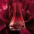 Luna Rubí Perfume Femenino 50ml - comprar online