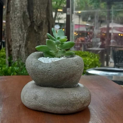 Vaso Redondo Duplo de Cimento