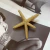 Bico de Pato Estrela do Mar (unitário)