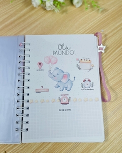 CADERNETA DE SAÚDE ELEFANTINHA -  PAPELARIA PERSONALIZADA - AMORCOMDETALHES
