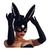 Imagem do Máscara Bunny