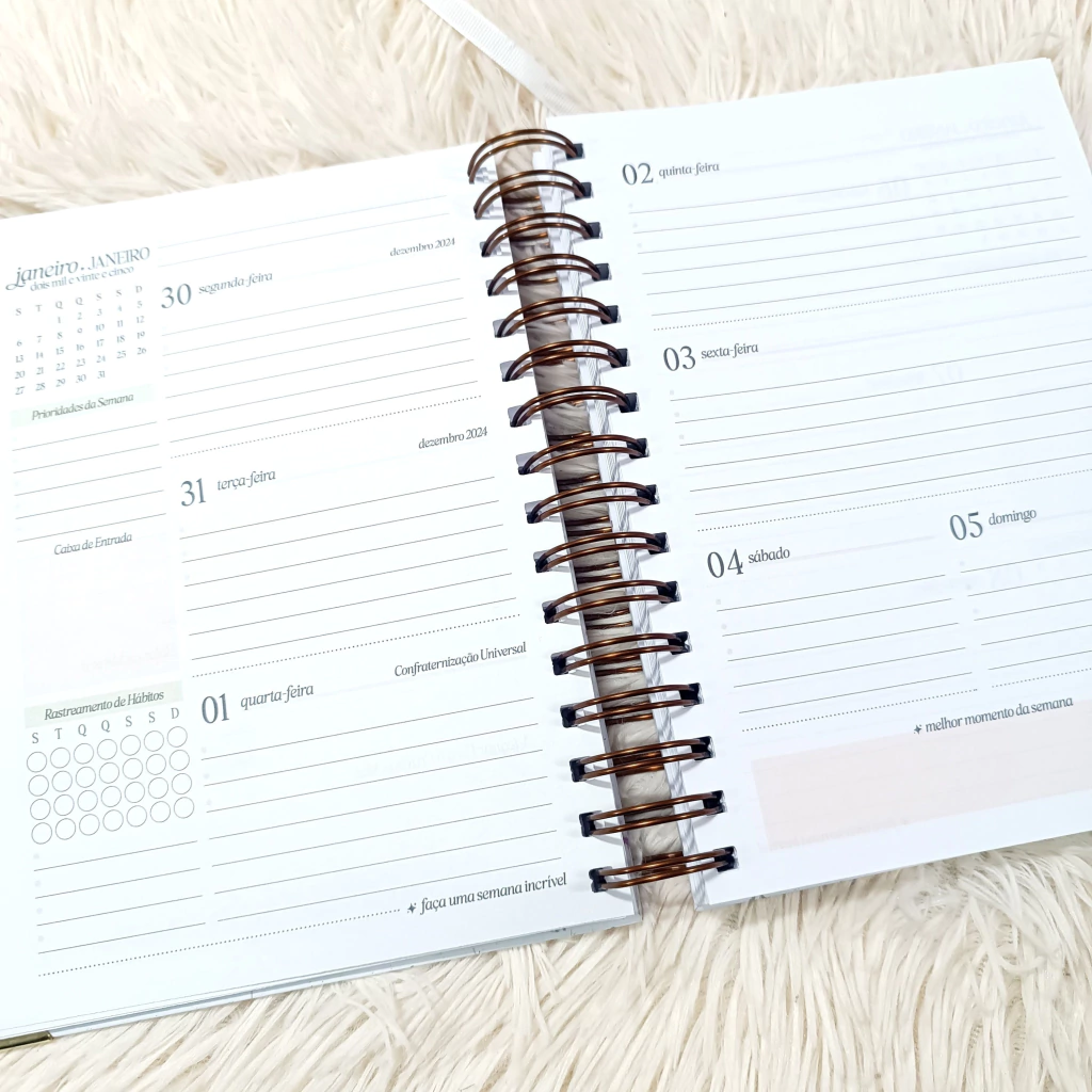 Planner 2025 - Escolha a capa no link