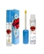 GLOSS SOS BOCAO VIVAI BOX C/24 UNIDADES COD.335 - comprar online