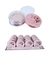 PO FACIAL ROSA MOSQUETA FENZZA BOX C/16 UNIDADES COD.146 na internet