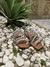 Flat Arlet - comprar online