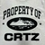 Camiseta CORTEIZ - Property of CRTZ - BWS | BLVCKWHITESHOP 
