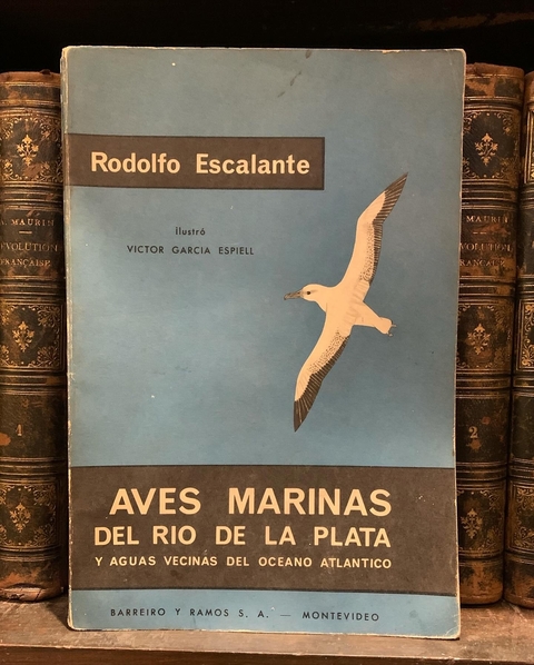 R. Escalante, Aves Marinas del Rio de La Plata