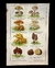 Láminas de CHAMPIGNONS