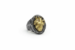 Anatomic Heart Ring - Hominis