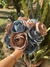 Imagen de Kit de Flores de Tela Poppies