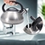 Imagem do Chaleira Em Aço Inox Com Aviso Sonoro e Revestimento Interno Capacidade 3 Litros