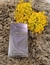 Christian Siriano Intimate Silhouette 100ml - EuBonita