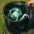BrewUp Cooler na internet