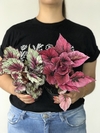 Begônia rex - Floresta Urbana Store