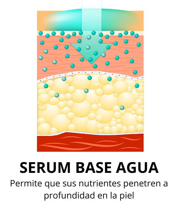 Banner de SIERO  — Tienda Online