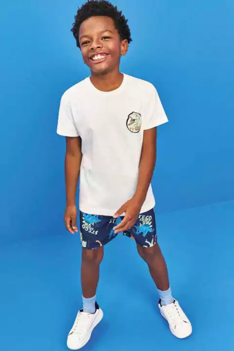 Bermuda Lucboo Stego Saurus