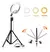 Ring Light Anel De Luz Led 12 30cm Tripé Grande 2,1 Metros Para Foto Selfie Maquiagem Usb Cor da luz Fria-morna-quente
