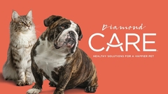 Banner de la categoría DIAMOND CARE