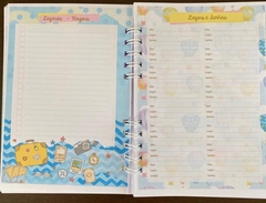 Imagem do Planner Colors 2025 Permanente