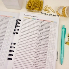 Planner Controle Financeiro (não datado) na internet