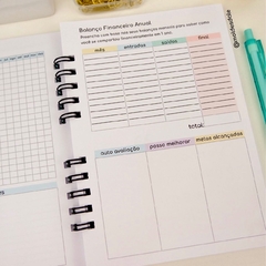 Planner Controle Financeiro (não datado)