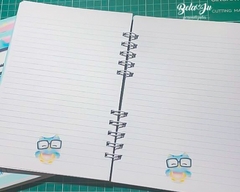 Caderno da Professora na internet