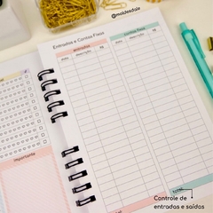 Imagem do Planner Controle Financeiro (não datado)