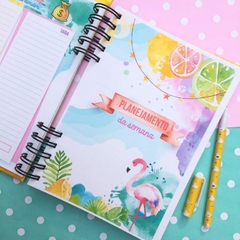 Planner Colors 2025 Permanente na internet