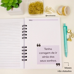 Kit Financeiro Controle Caixa e Planner financeiro na internet