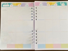 Planner Colors 2025 Permanente - belajupersonalizados