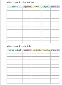 Kit Financeiro Controle Caixa e Planner financeiro