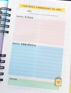 Kit Financeiro Controle Caixa e Planner financeiro - loja online